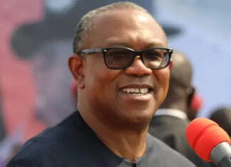 2027 Election: Peter Obi set to join ADC, date emerges