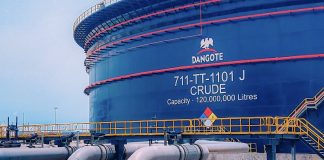 Dangote to Acquire Own Ships to Boost Regional Trade