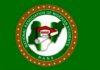 NANS lists 39 institutions yet to refund students after NELFUND tuition payments
