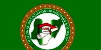 XENOPHOBIA: In retaliatory move, NANS targets MTN, MultiChoice, Stanbic IBTC