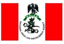 NDLEA Intercepts Two Shipments of Colorado From UK