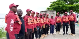 NDLEA arrests drug baron in Lagos