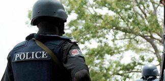 State Police Plan: Committee recommends strict oversight system to prevent political abuse