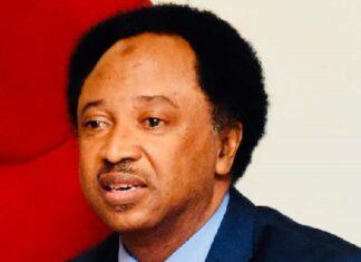 Shehu Sani: Tinubu Prioritising Nigeria’s Future Over Political Goodwill