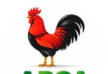 Anambra LG Poll: APGA Sweeps Chairmanship, Councillorship Seats