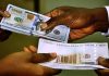 Naira Strengthens to N1,337/$ as Weekly FX Turnover Falls 48.7%