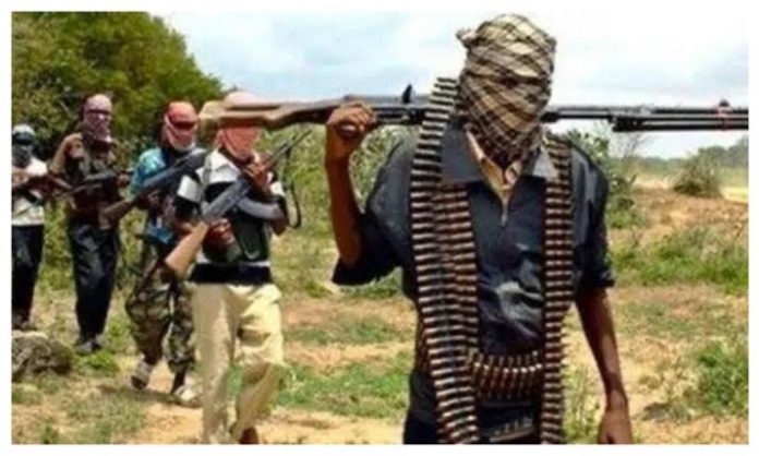 Terrorists