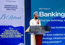 CBN Must Rethink Regulation as Finance Goes Digital, NITDA DG Warns