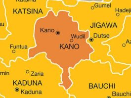 Kano Consumer Council Seizes 419 Cartons of Expired Agricultural Chemicals