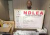 NDLEA Arrests Convicted Cocaine Trafficker Over Saudi Arabia Shipments
