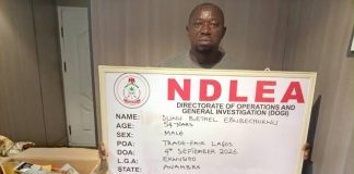 NDLEA Arrests Convicted Cocaine Trafficker Over Saudi Arabia Shipments