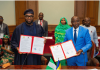 Chad, Nigeria Advance Digital Cooperation on Fibre Connectivity and AI