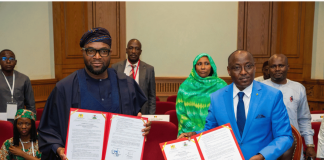 Chad, Nigeria Advance Digital Cooperation on Fibre Connectivity and AI